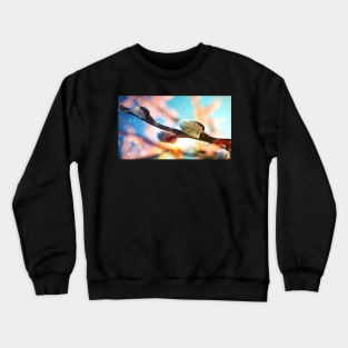 pussy-willow tree Crewneck Sweatshirt